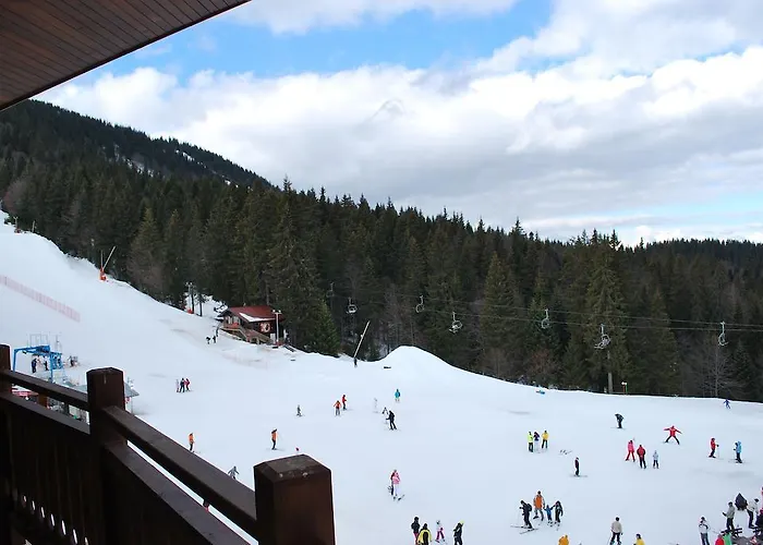 Spider House Pamporovo