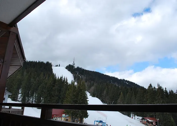 아파트호텔 Spider House