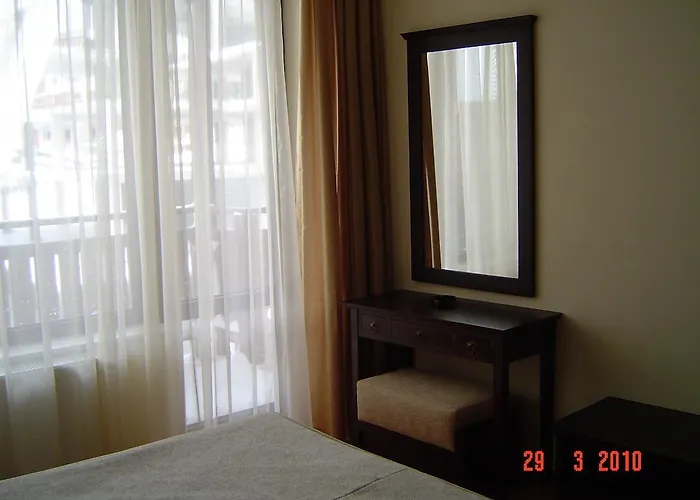 Spider House 팜포로보